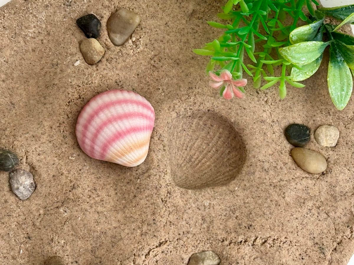 Sensory Play Stones Seashells