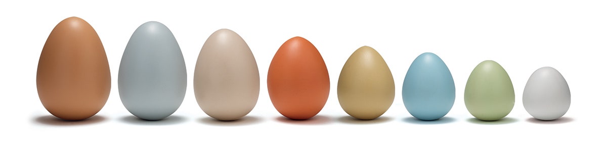 Size-Sorting Eggs Set of 8