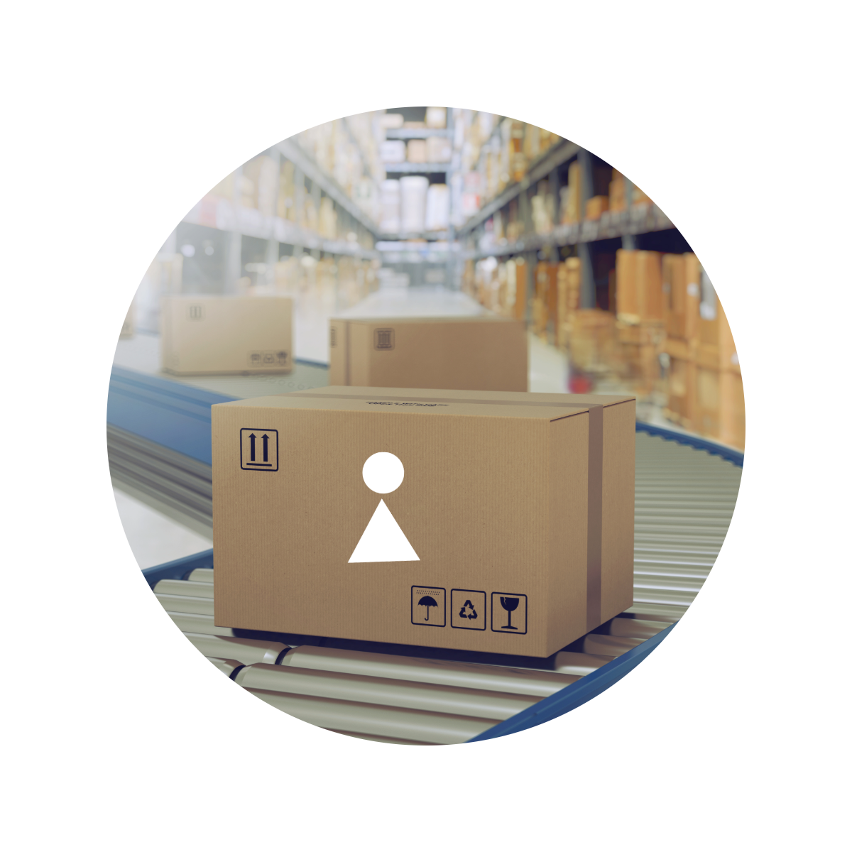 Free Shipping