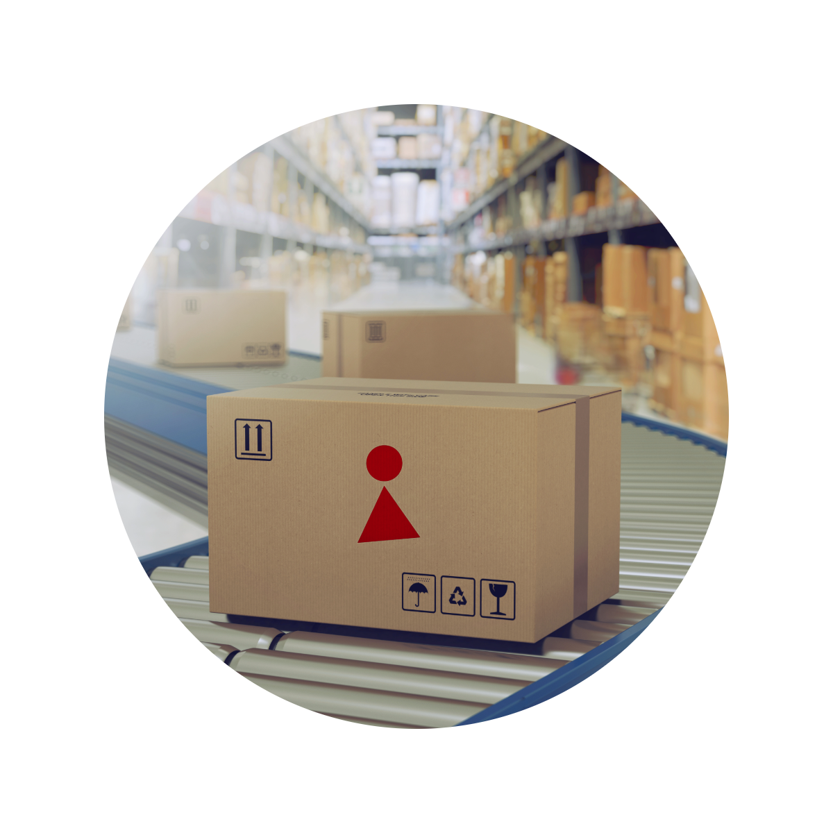 Free Shipping