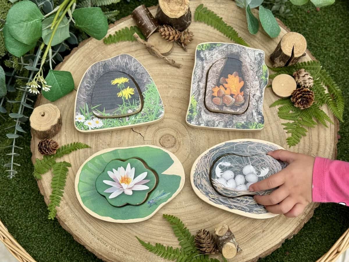 Who's Hiding? Woodland Animals