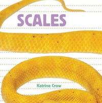 Whose is it Scales