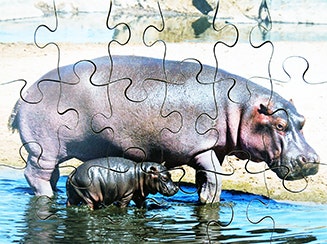 Wild Animals Set of 8 Wooden Puzzles