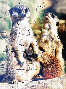 Wild Animals Set of 8 Wooden Puzzles
