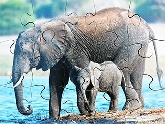 Wild Animals Set of 8 Wooden Puzzles
