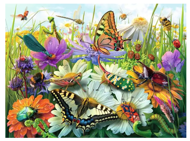 Wonderful World of Insects 100 Pc XXL