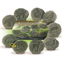 Lets Investigate Woodland Footprints
