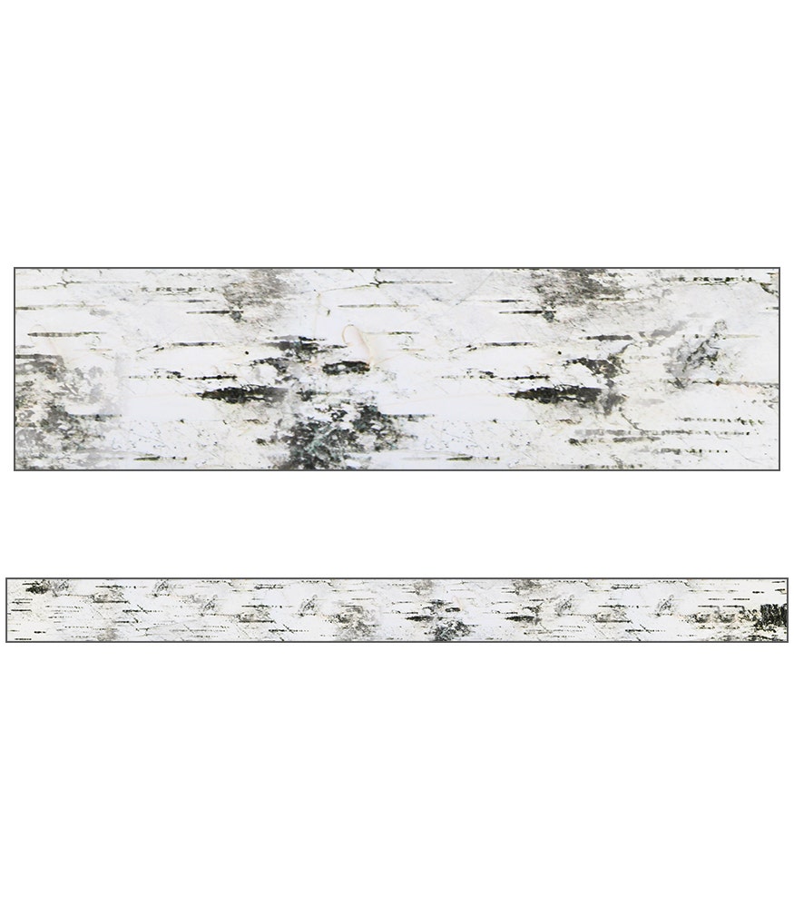 Woodland Whimsy Birch Tree Straight Borders