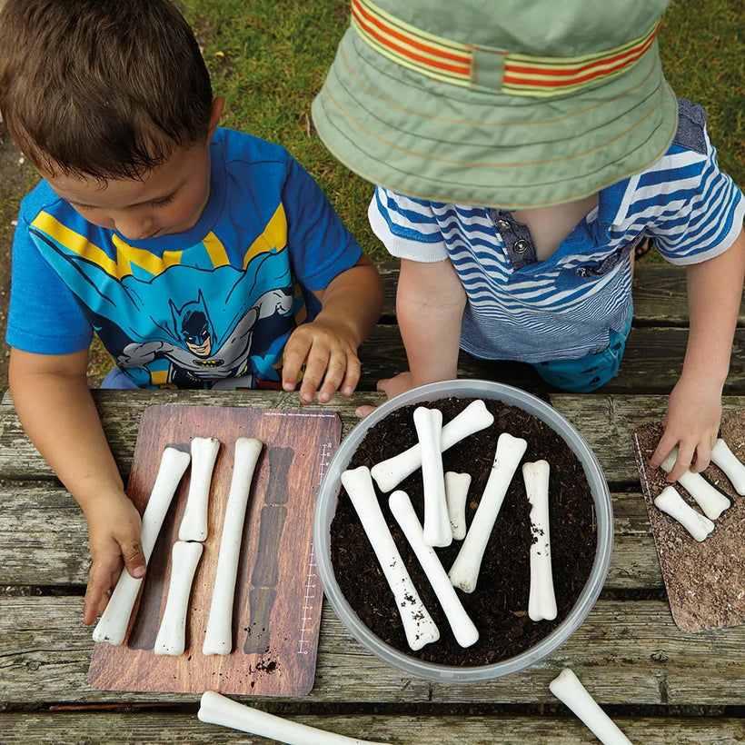 Dinosaur Bones Discovery Set