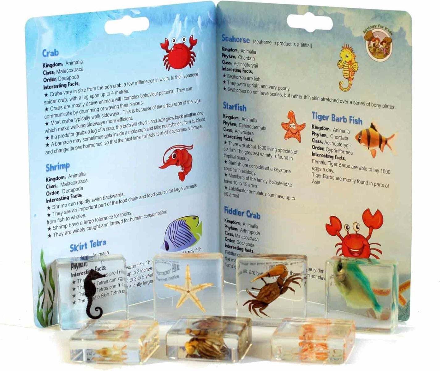 Aquatic Collection
