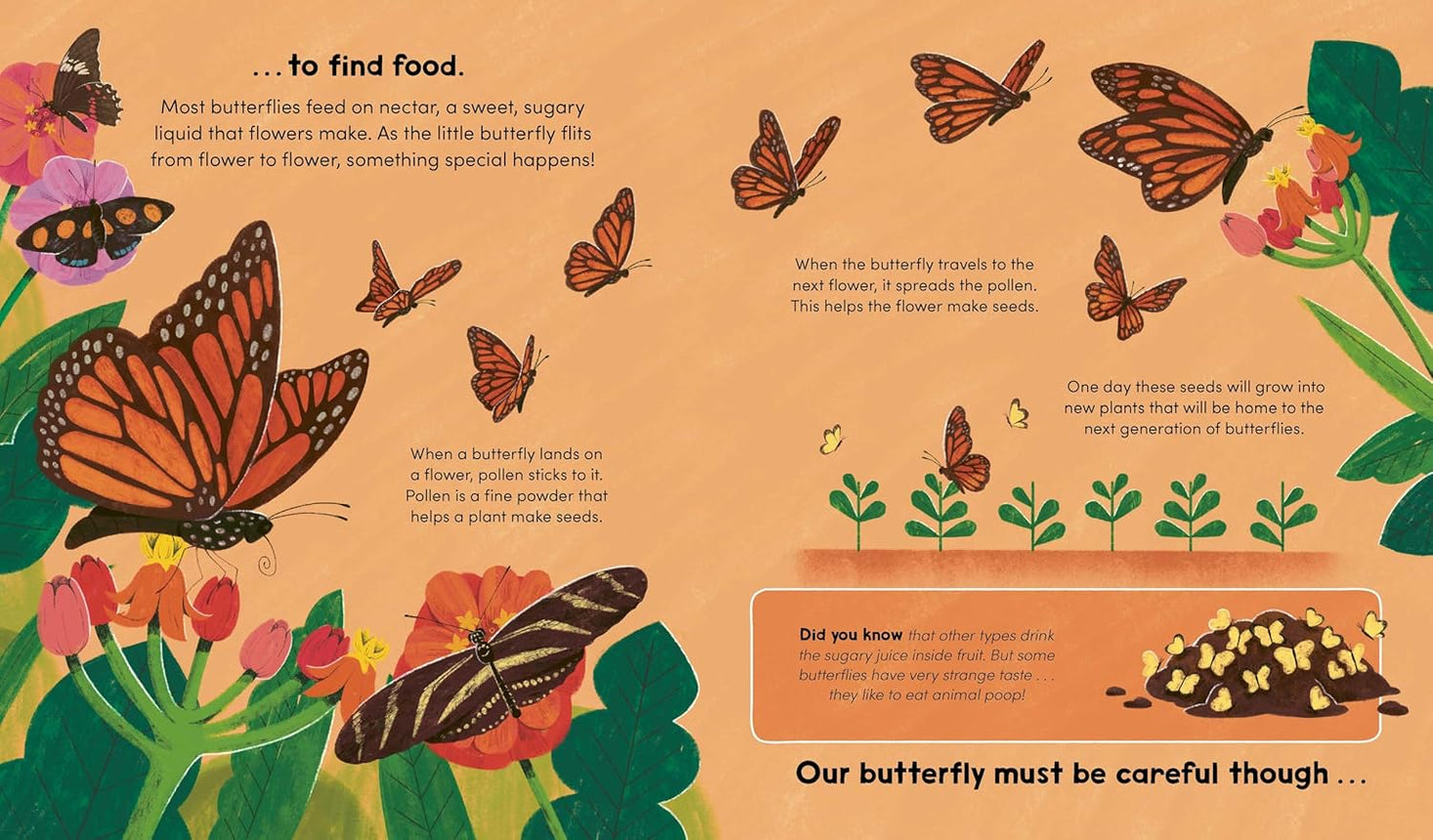Watch Me Grow: Butterflies