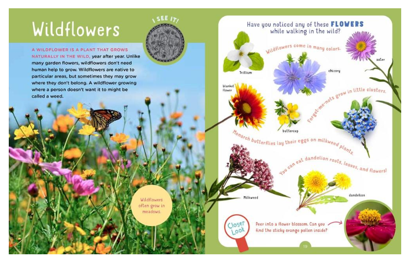 Backpack Explorer Discovering Plants and Flowers - What Will