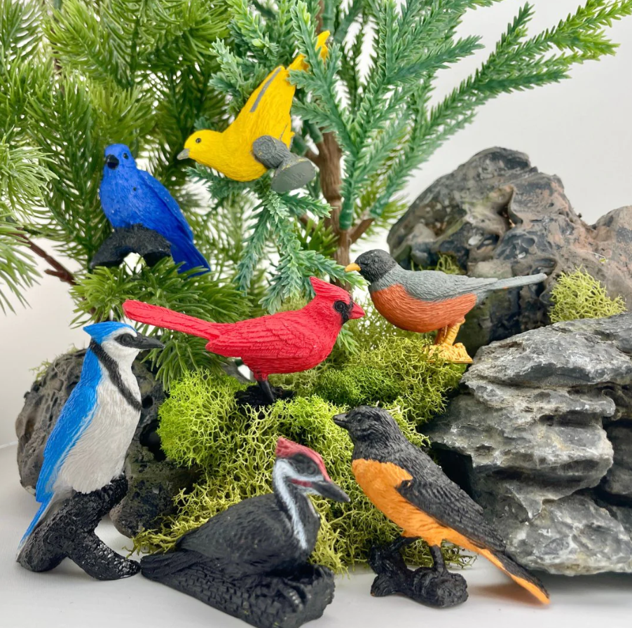 Backyard Birds Toob