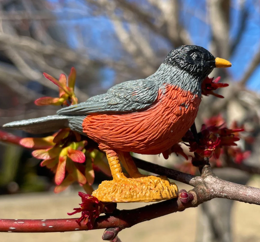 Backyard Birds Toob