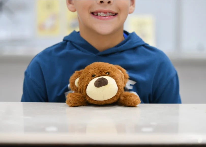 Bear Posture Pet