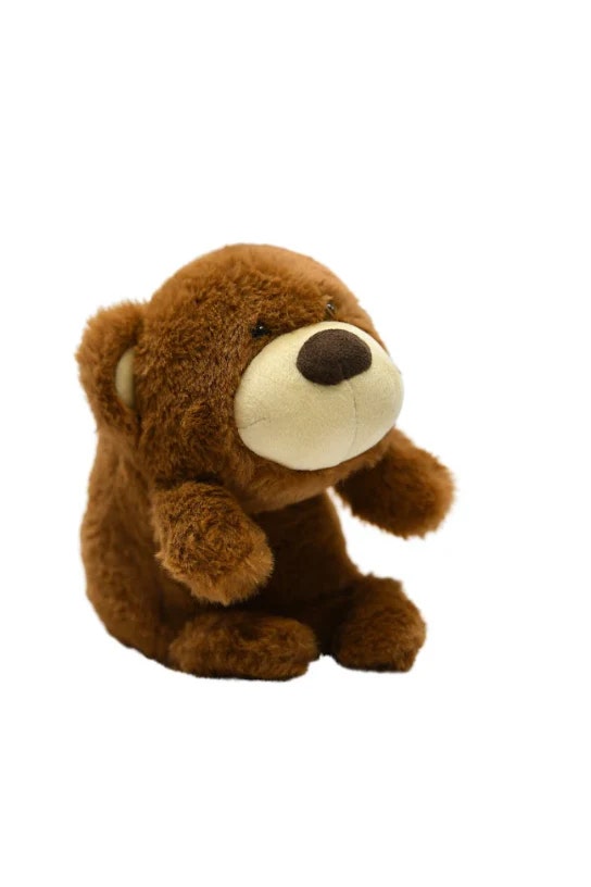 Bear Posture Pet