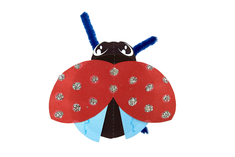 Beautiful Bugs