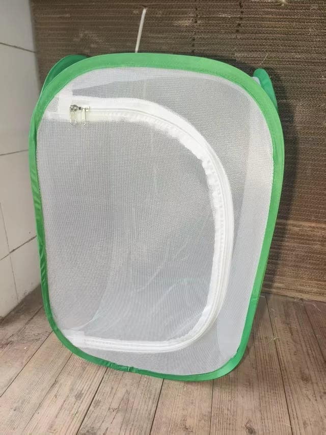 Butterfly Habitat Medium 40x40x60cm