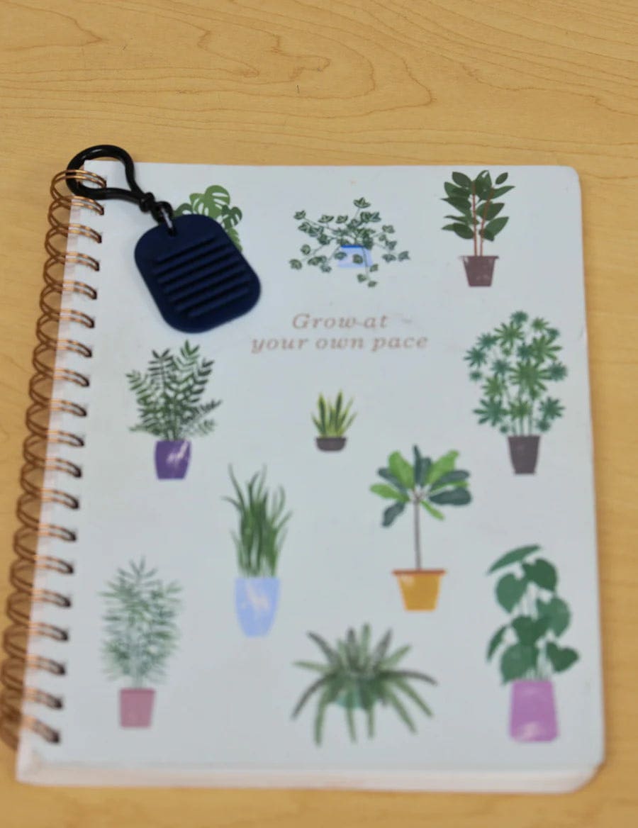 Calming Clip Key Chains 12 pcs