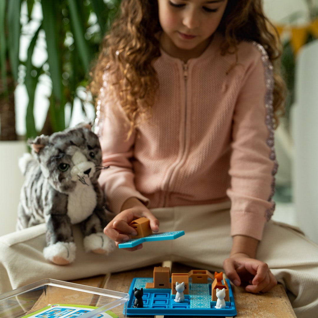 Cats & Boxes by Smart Games