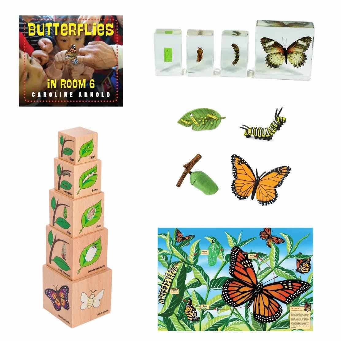 Butterfly Learning Collection