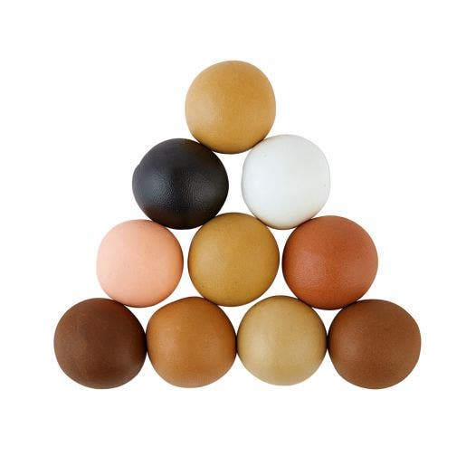 Colorations Wheat and Gluten Free Colors Like Me Dough 10 Co