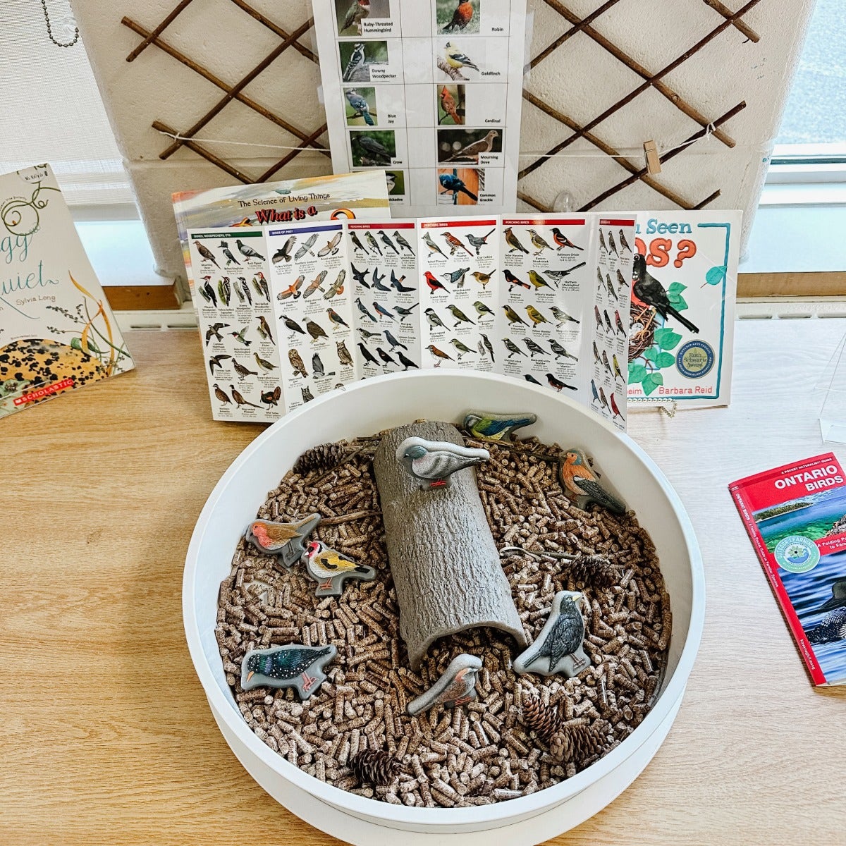 Sensory Play Stones Birds