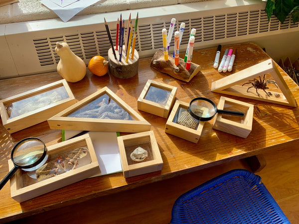 Refillable Window Blocks 10 pcs
