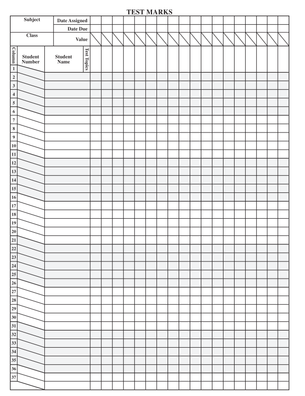 Daily Plan and Record Book 2 Revised Orange