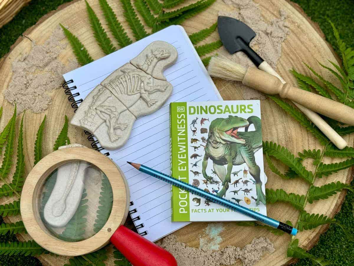 Dig and Discover Ankylosaurus & Tyrannosaurus Rex