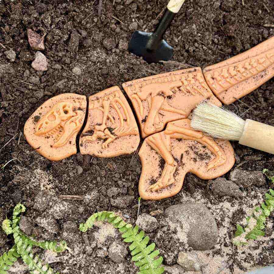 Dig and Discover Ankylosaurus & Tyrannosaurus Rex