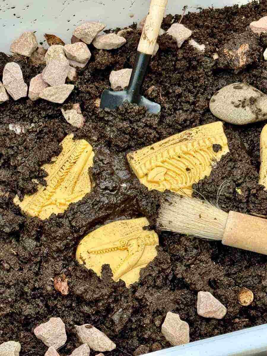 Dig and Discover Pliosaur & Stegosaurus