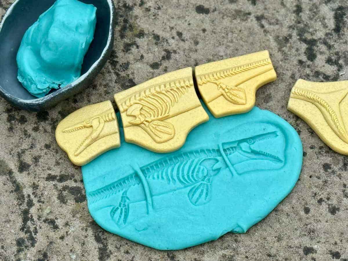 Dig and Discover Pliosaur & Stegosaurus