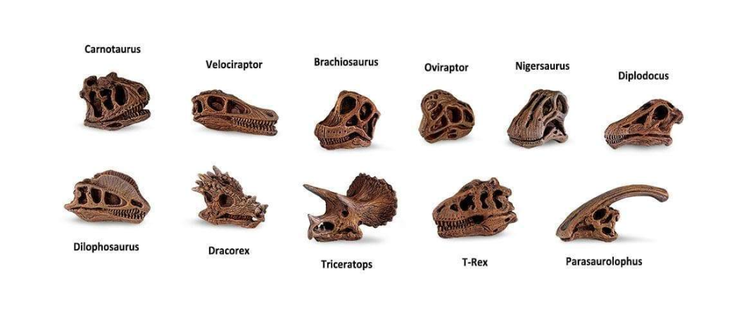 Dinosaur Skulls Toob