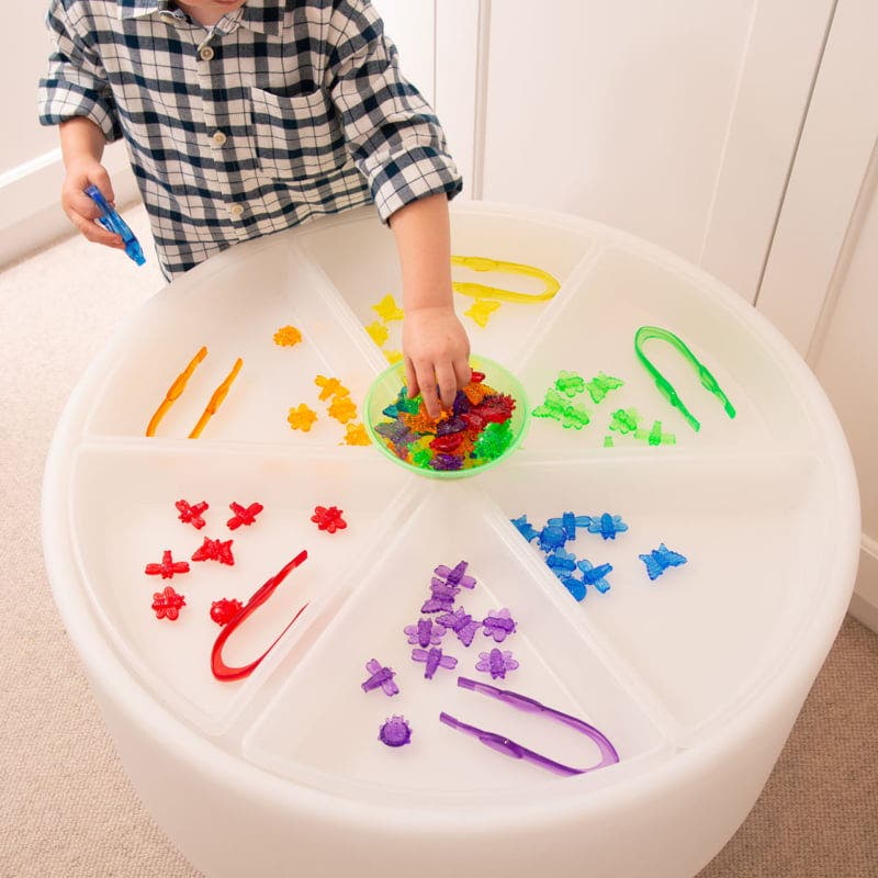 Discovery Trays Set