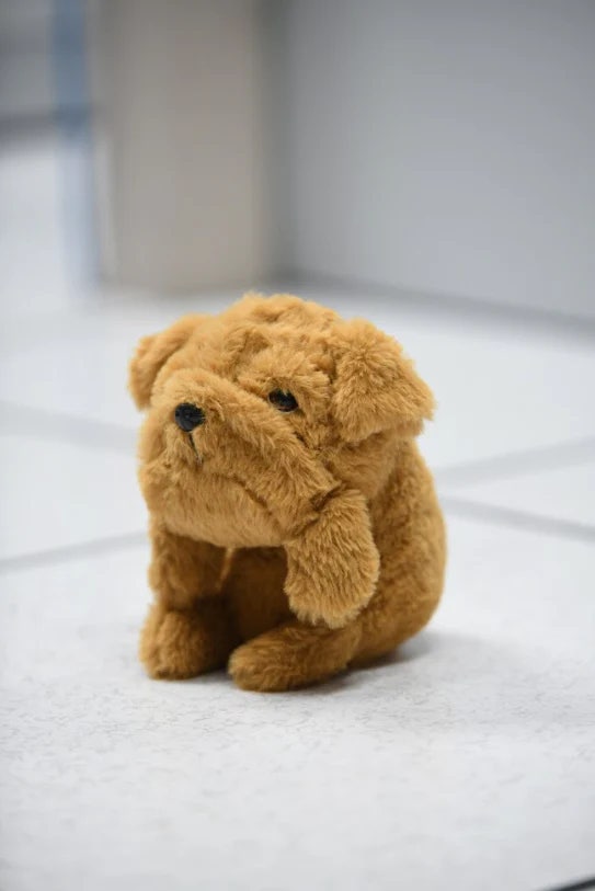 Dog Posture Pet