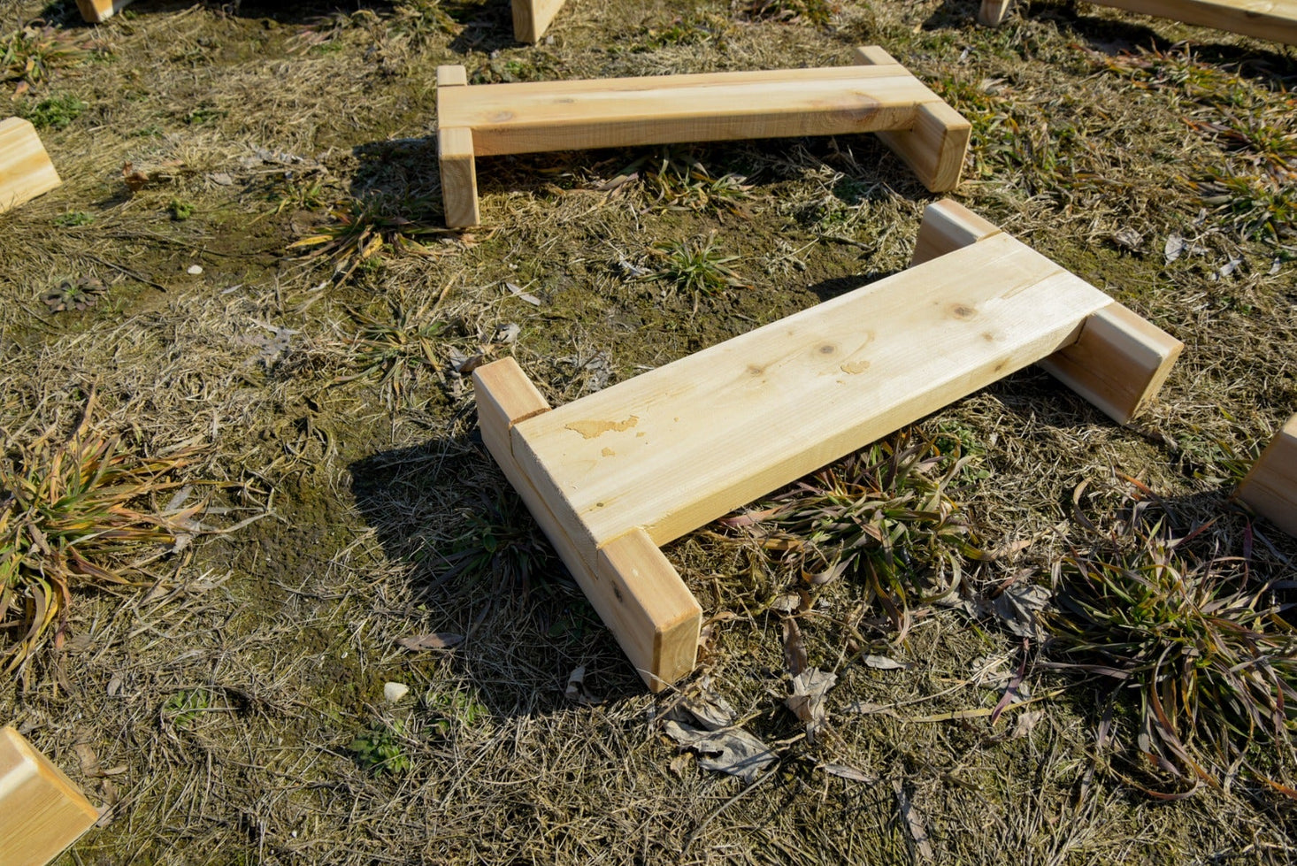 Balance Beams by Naturally Inspired Play