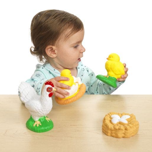 Environments My First Soft Life Cycle Chicken