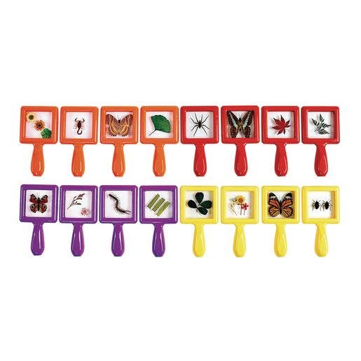 Excellerations earlySTEM Toddler Specimen Viewers Collection