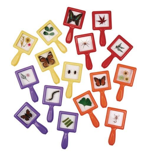 Excellerations earlySTEM Toddler Specimen Viewers Collection
