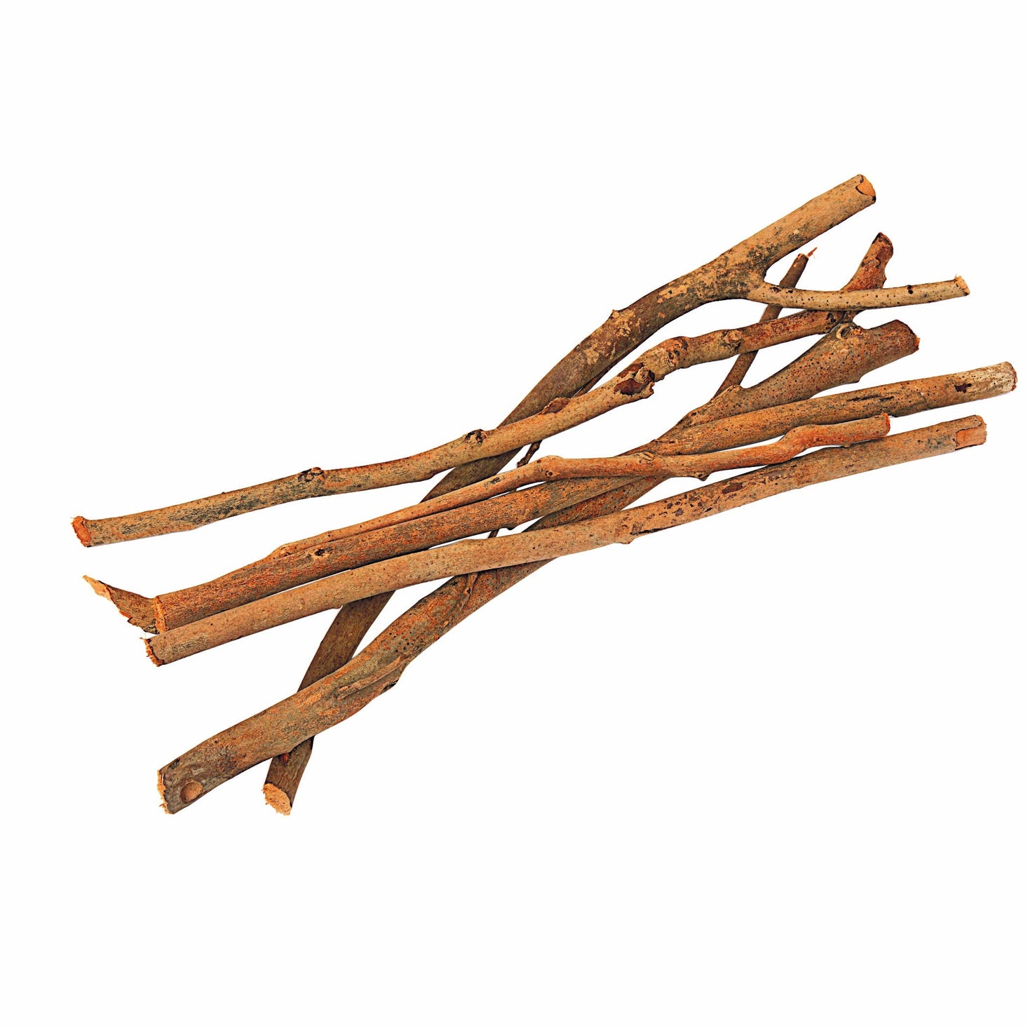 Excellerations Natural Branches 17.6 oz