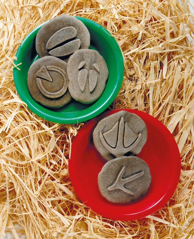 Lets Investigate Farmyard Footprints Stones