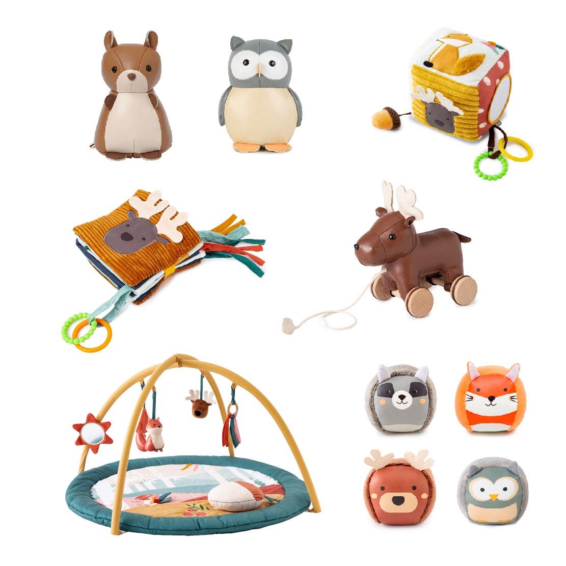 Forest Discovery Collection