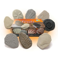 Lets Investigate Fossils