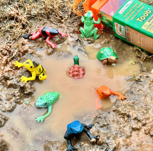 Frogs and Turtles Toob