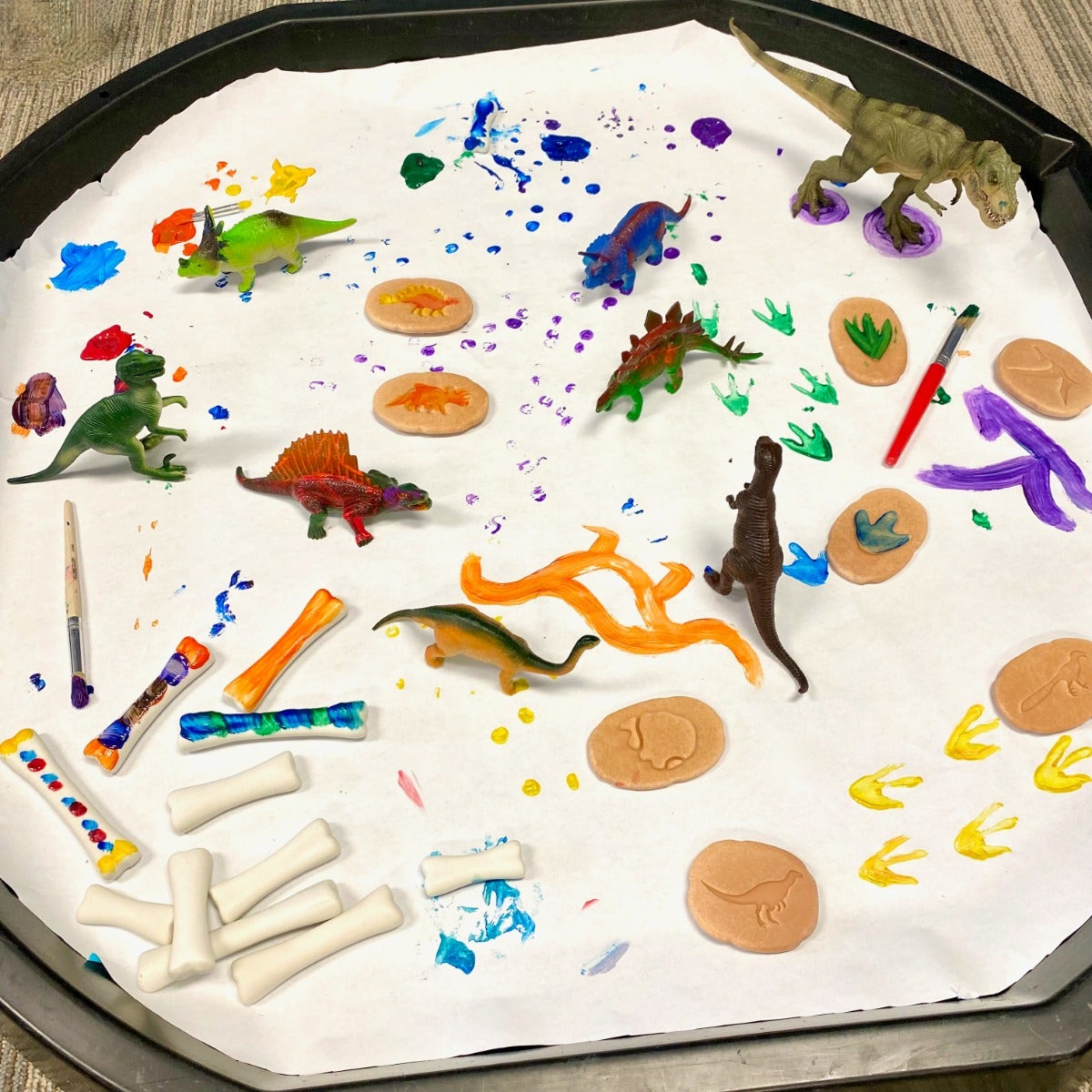 Dinosaur Bones Discovery Set