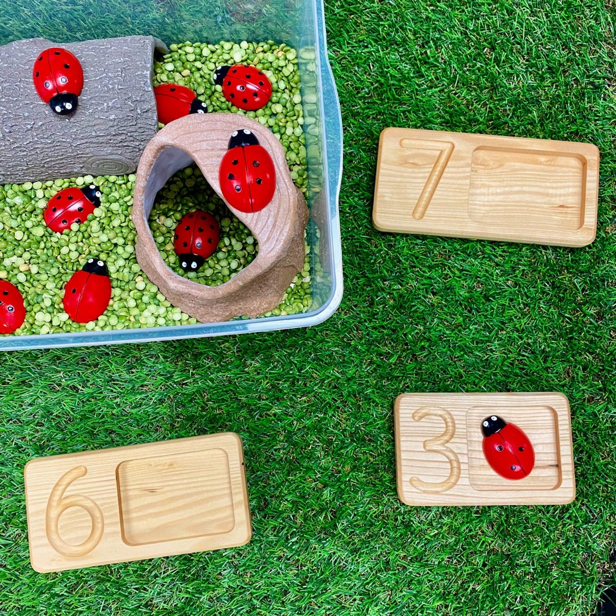 Ladybug Counting Stones