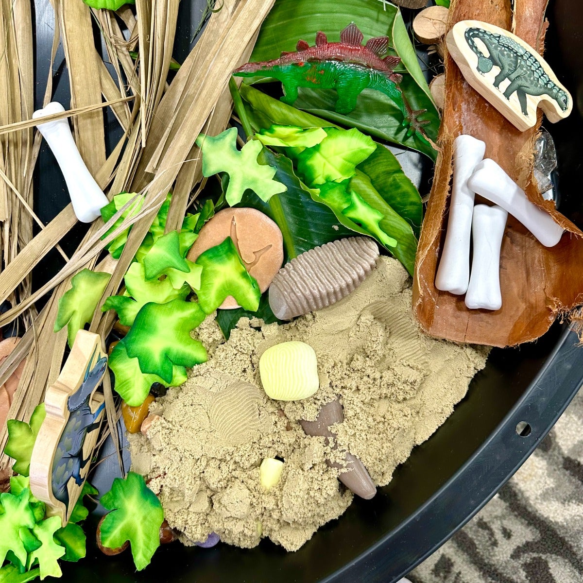 Lets Investigate Prehistoric Teeth