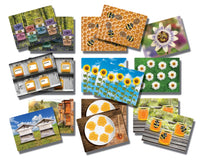 Honey Bee Early Number Cards