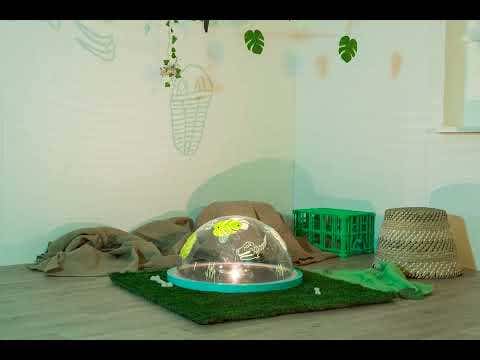 TTS Early Years Immersive Projector